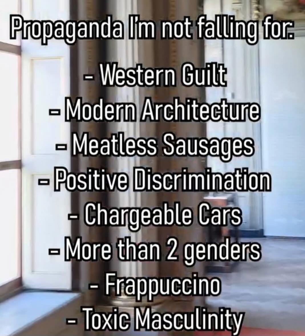 Propaganda I'm not falling for. - Western Guilt - Modern Architecture - Meatless Sausages - Positive Discrimination - Chargeable Cars - More than 2 genders - Frappuccino - Toxic Masculinity