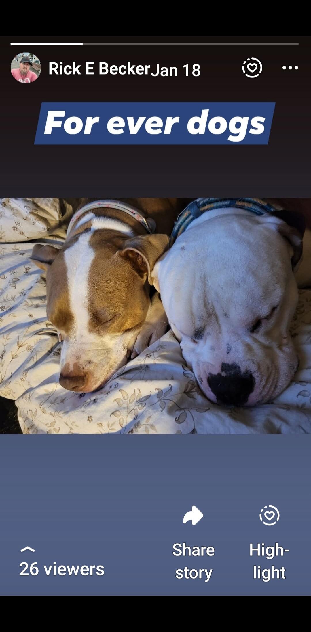 Rick E Becker Jan 18
For ever dogs