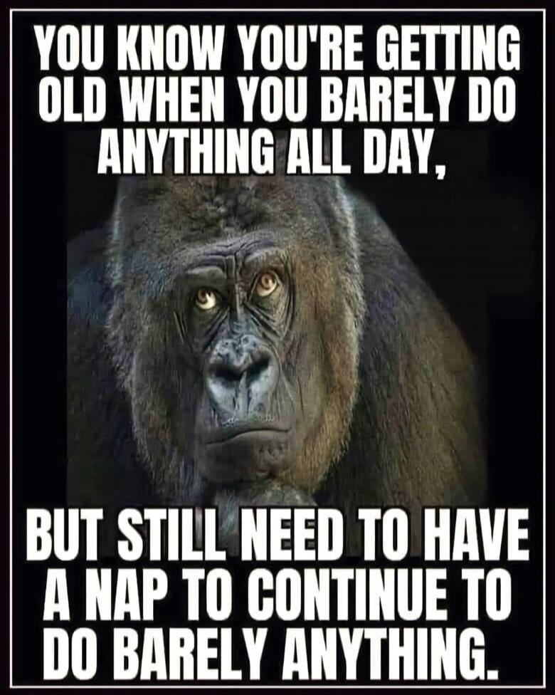 YOU KNOW YOU'RE GETTING OLD WHEN YOU BARELY DO ANYTHING ALL DAY, BUT STILL NEED TO HAVE A NAP TO CONTINUE TO DO BARELY ANYTHING.