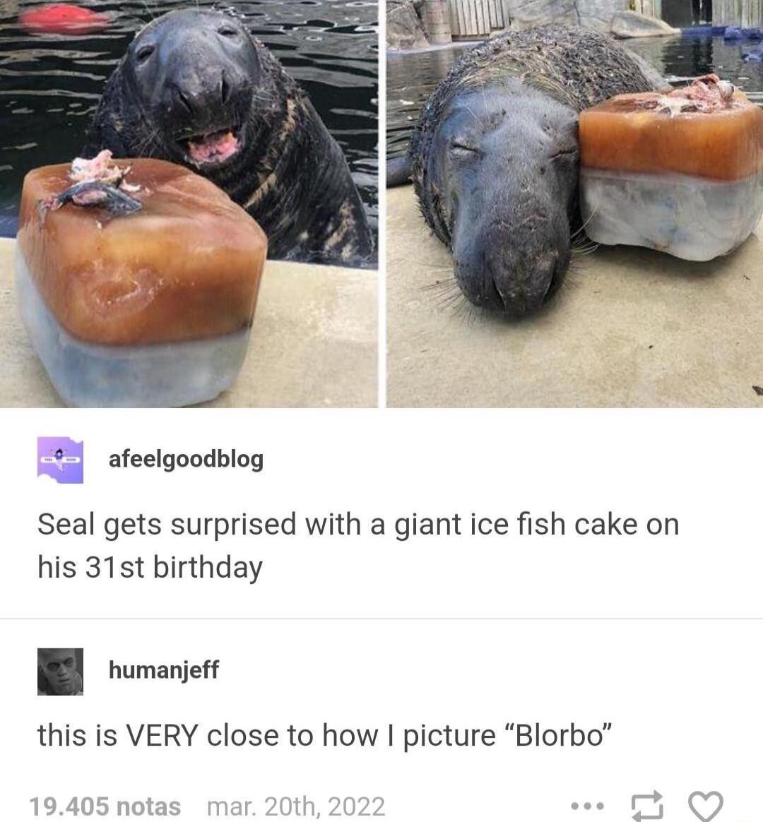 afeelgoodblog Seal gets surprised with a giant ice fish cake on his 31st birthday humanjeff this is VERY close to how picture Blorbo