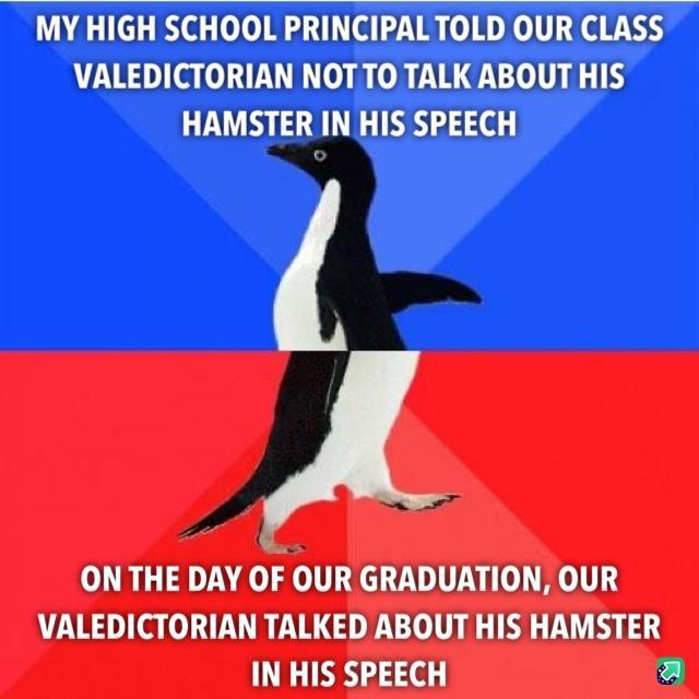 MY HIGH SCHOOL PRINCIPALTOLD OUR CLASS VALEDICTORIAN NOTTO TALK ABOUT HIS HAMSTER IN HIS SPEECH ON THE DAY OF OUR GRADUATION OUR VALEDICTORIAN TALKED ABOUT HIS HAMSTER IN HIS SPEECH a
