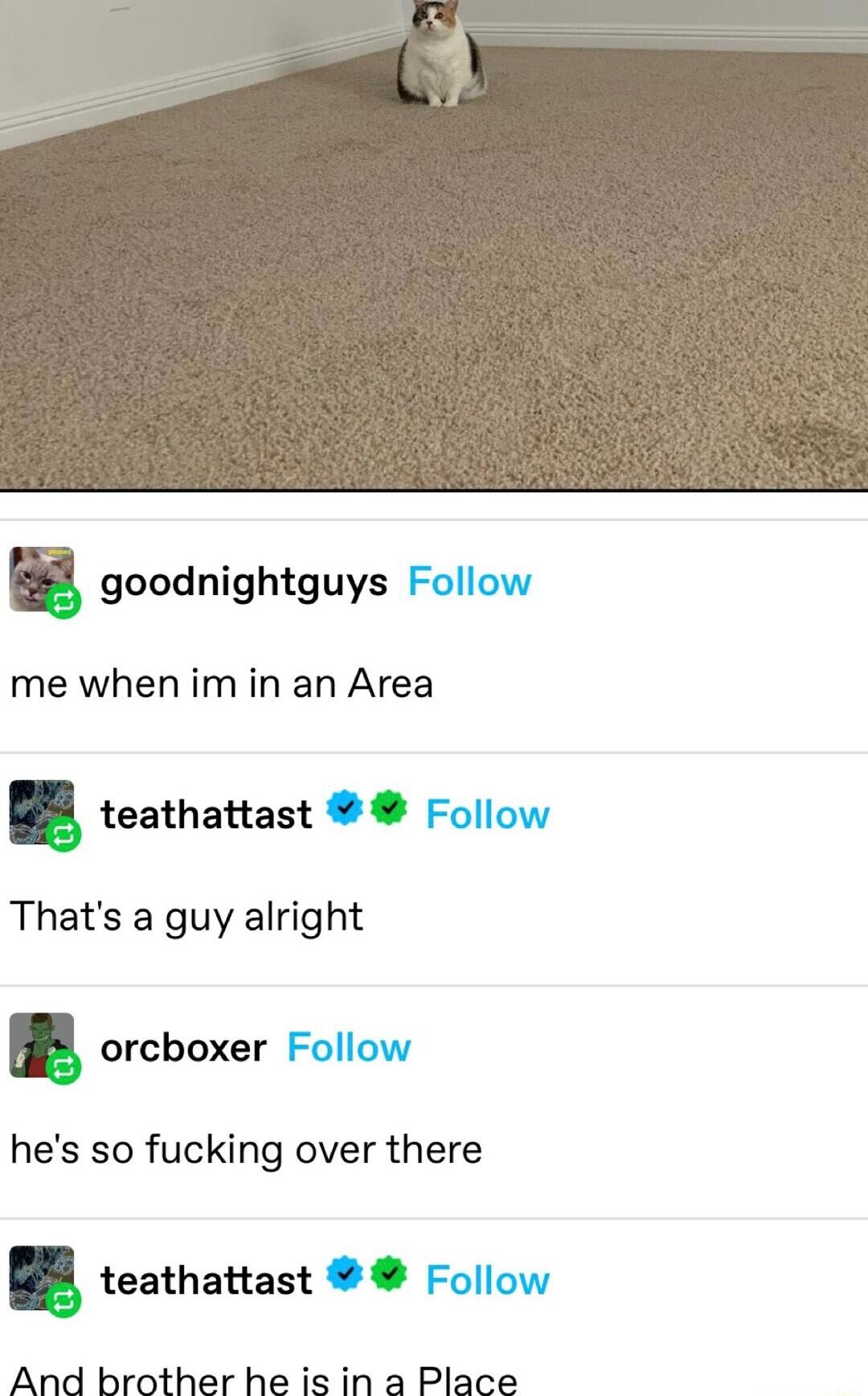 goodnightguys me when im in an Area teathattast Foll Thats a guy alright orcboxer Follow hes so fucking over there teathattast And brother he is in a Place