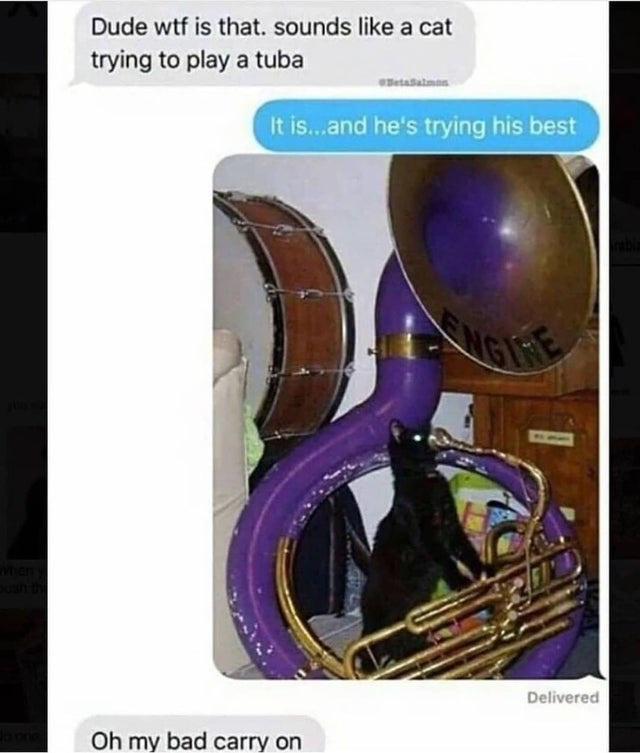 Dude wtf is that sounds like a cat trying to play a tuba Oh my bad carry on