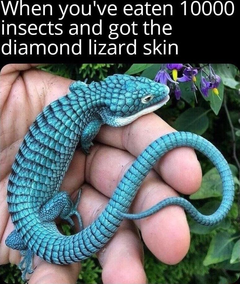 When youve eaten 10000 insects and got the eTaqlelale RIVZde BNyl