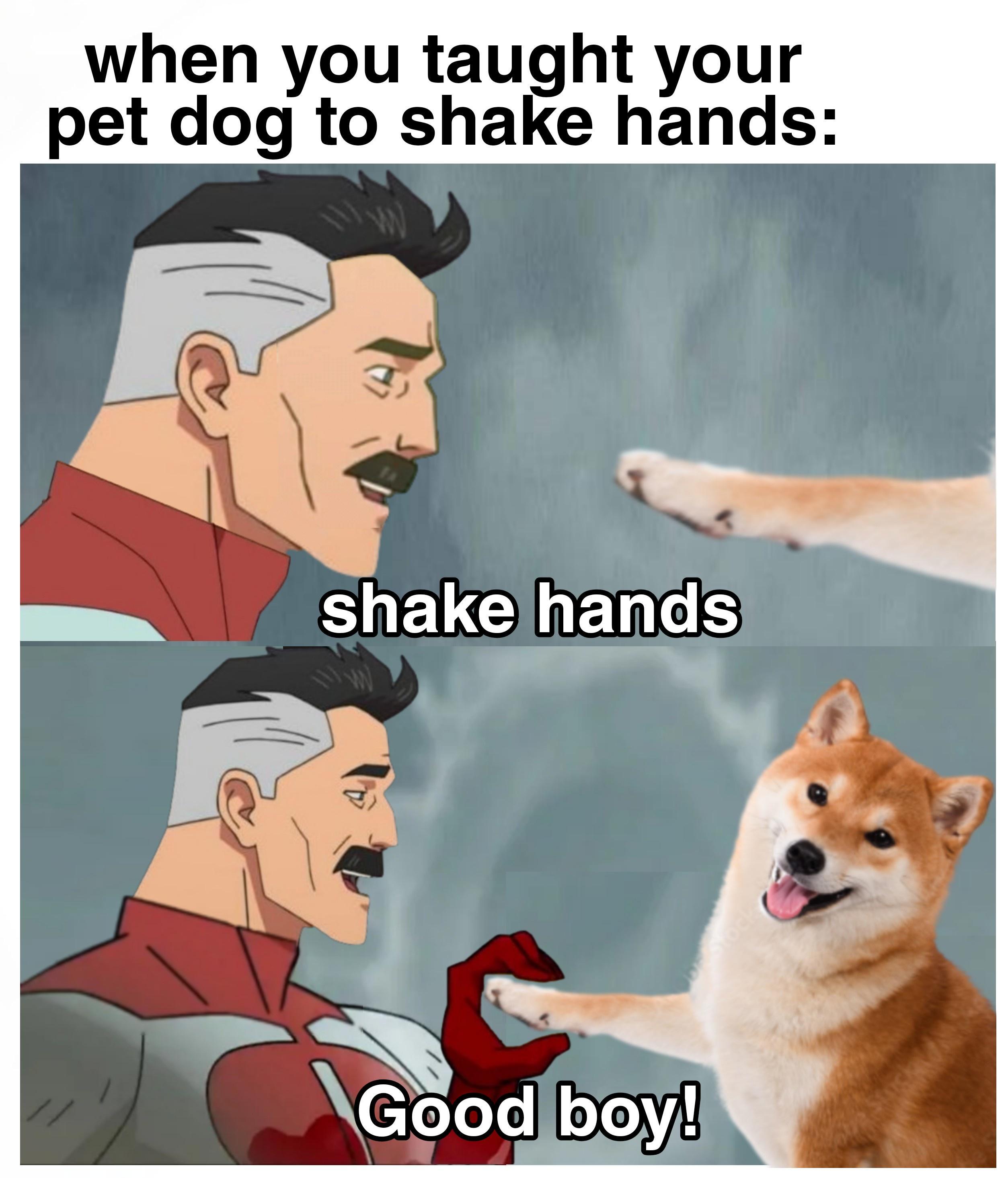 when you taught your pet dog to shake hands