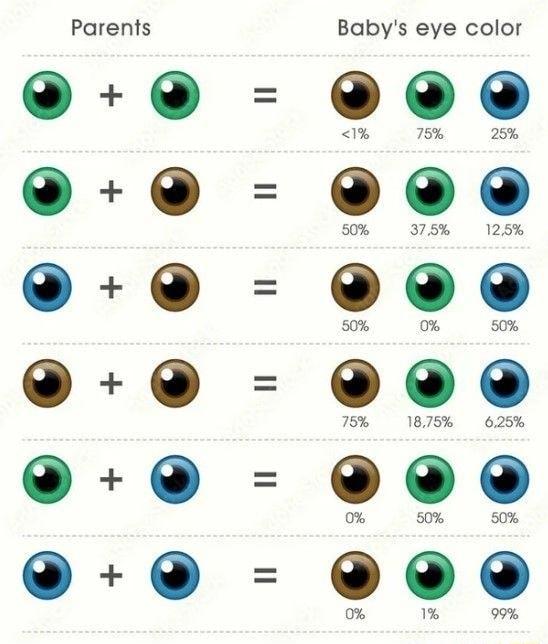 Parents e Babys eye color 25 s0 5 125 0 7 1875 625 o 0 50 o