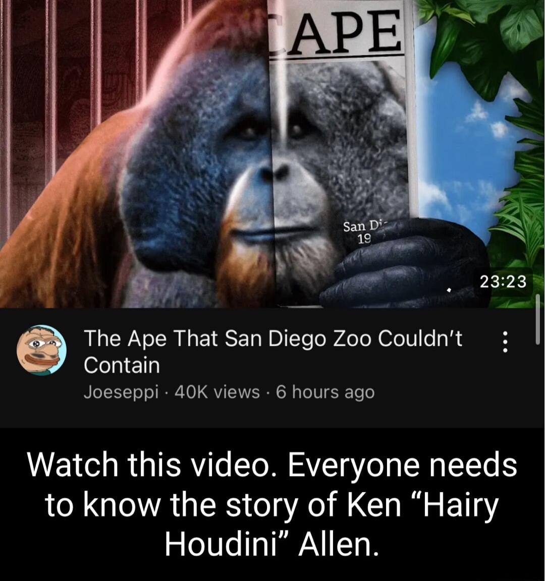 The Ape That San Diego Zoo Couldnt Contain Joeseppi 40K views 6 hours ago Watch this video Everyone needs to know the story of Ken Hairy Houdini Allen