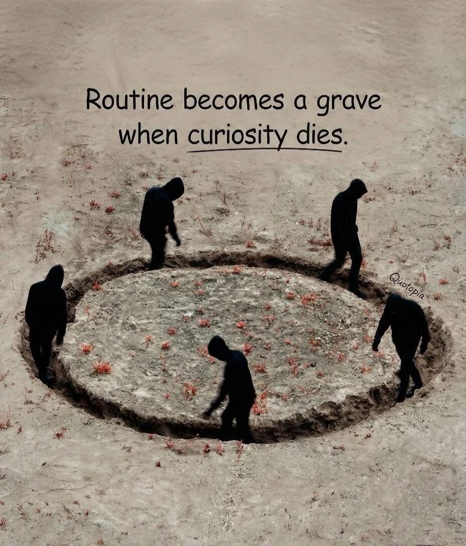 Routine becomes a grave when curiosity dies.