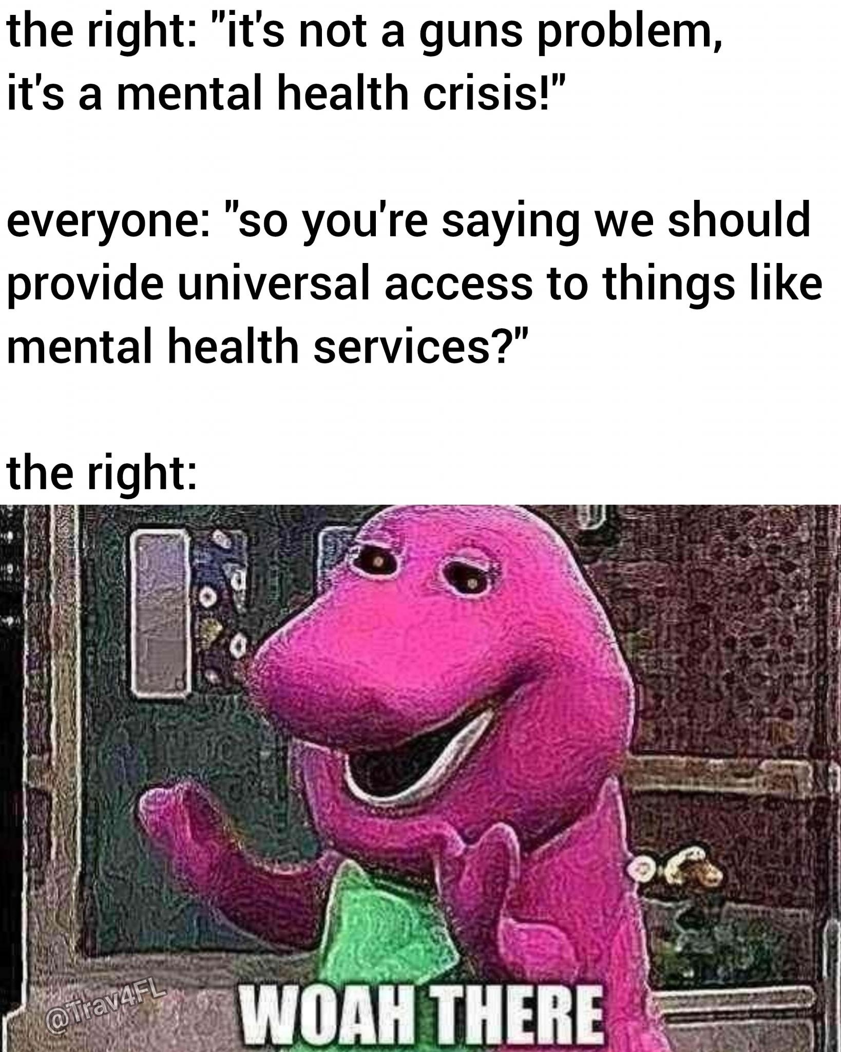 the right its not a guns problem Its a mental health crisis everyone so youre saying we should provide universal access to things like mental health services the right