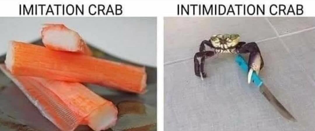 IMITATION CRAB  |  INTIMIDATION CRAB