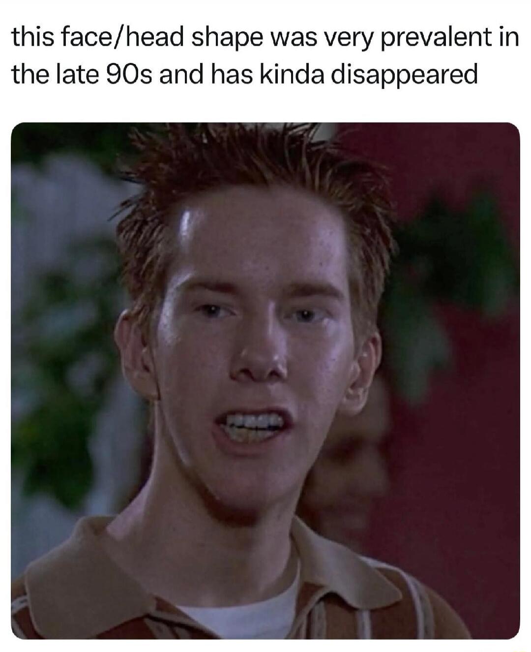 this face/head shape was very prevalent in the late 90s and has kinda disappeared