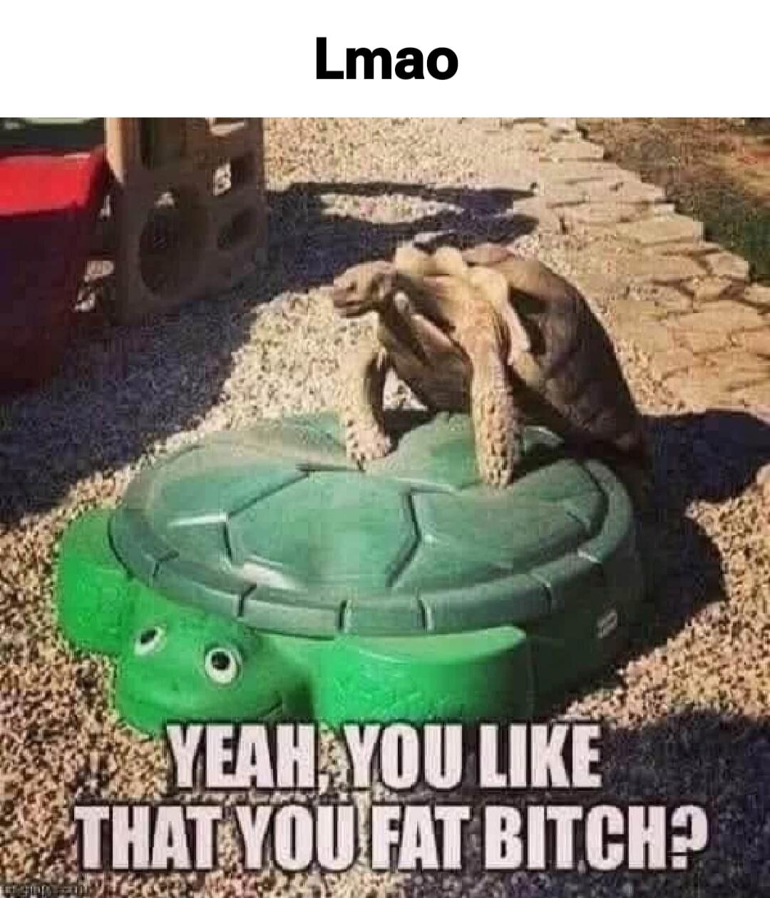 Lmao
YEAH YOU LIKE THAT YOU FAT BITCH?