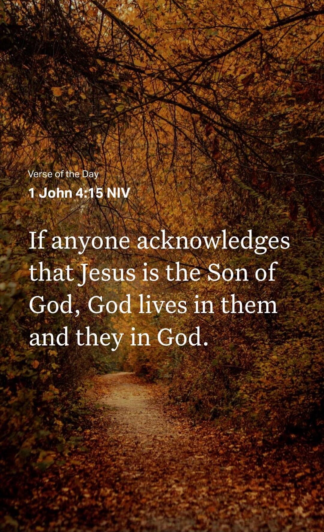 Verse of the Day 1 John 4:15 NIV If anyone acknowledges that Jesus is the Son of God, God lives in them and they in God.