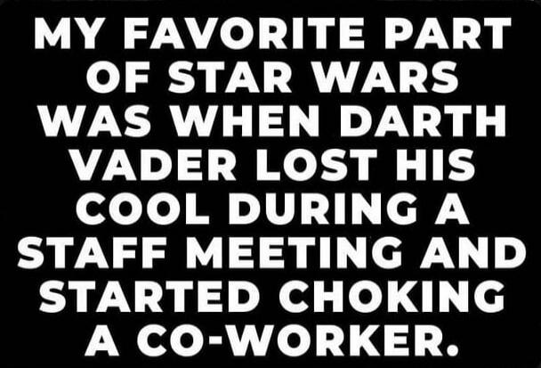 MY FAVORITE PART OF STAR WARS WAS WHEN DARTH VADER LOST HIS COOL DURING A STAFF MEETING AND STARTED CHOKING A CO-WORKER.