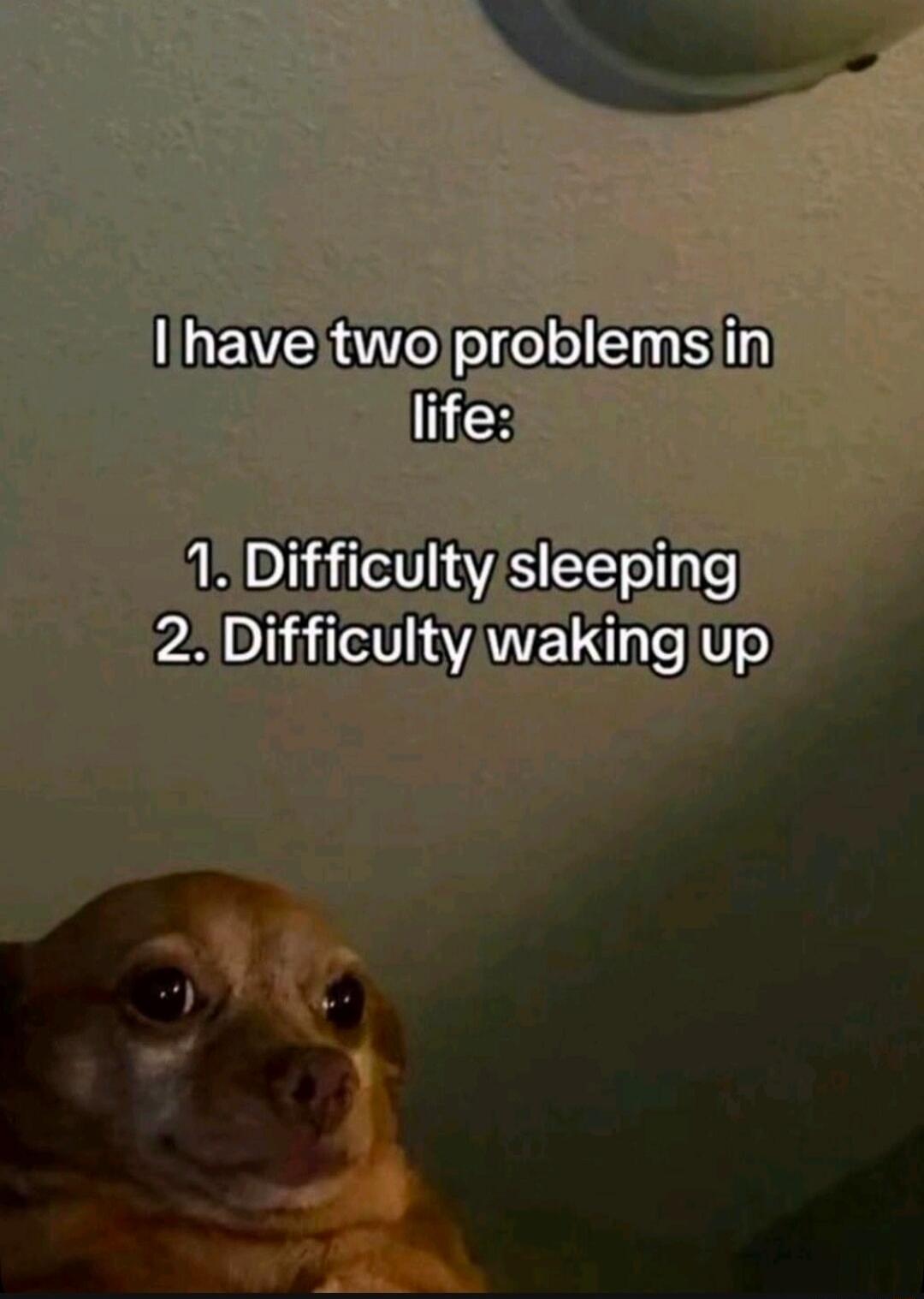 I have two problems in life: 1. Difficulty sleeping 2. Difficulty waking up