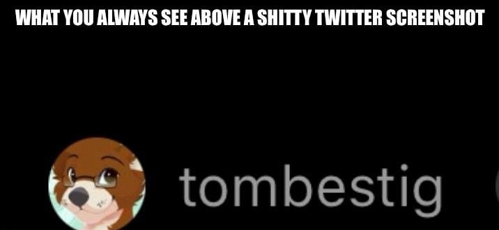 WHAT YOU ALWAYS SEE ABOVE A SHITTY TWITTER SCREENSHOT tombestig