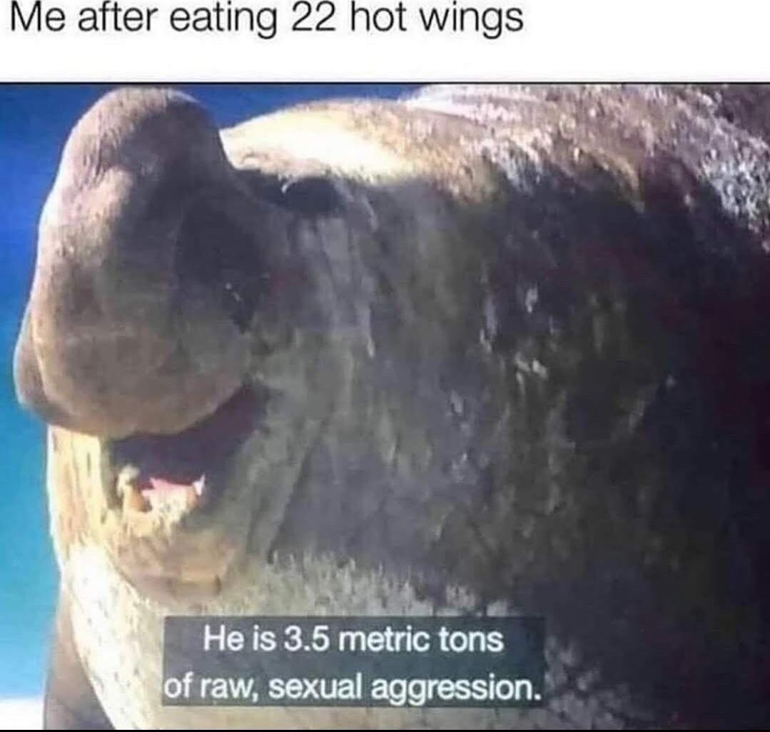 Vie aiter eatl ot wings i v He is 35 metric tons raw sexual aggression