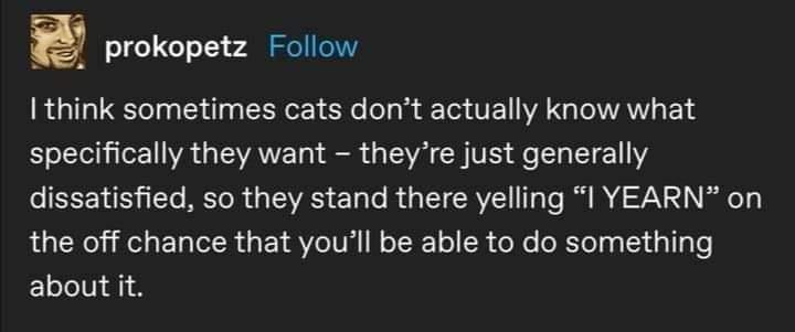 E prokopetz Follow think sometimes cats dont actually know what specifically they want theyre just generally oRS To BETOR a TSVAS TaTo R g T R VZ1 T Te I I 72V 24 i1 the off chance that youll be able to do something Elelelli