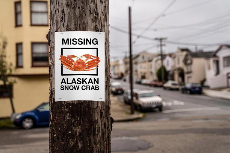 MISSING ALASKAN SNOW CRAB