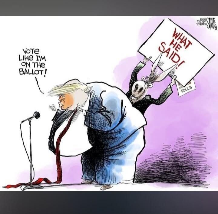 Vote like I'm on the ballot! WHAT HE SAID! POLLS
