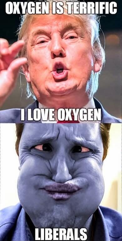 OXYGEN IS TERRIFIC I LOVE OXYGEN LIBERALS