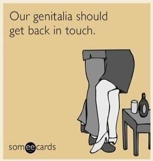 Our genitalia should get back in touch.