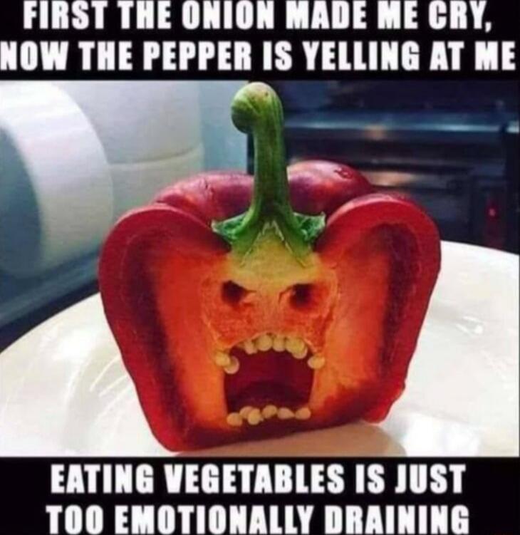 FIRST THE ONION MADE ME CRY NOW THE PEPPER IS YELLING AT ME y EATING VEGETABLES IS JUST A ODRA D DT TYANE T T YT T