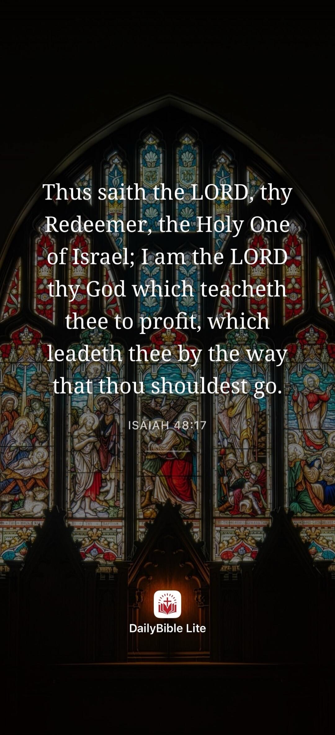 Thus saith the LORD, thy Redeemer, the Holy One of Israel; I am the LORD thy God which teacheth thee to profit, which leadeth thee by the way that thou shouldest go. ISAIAH 48:17 DailyBible Lite
