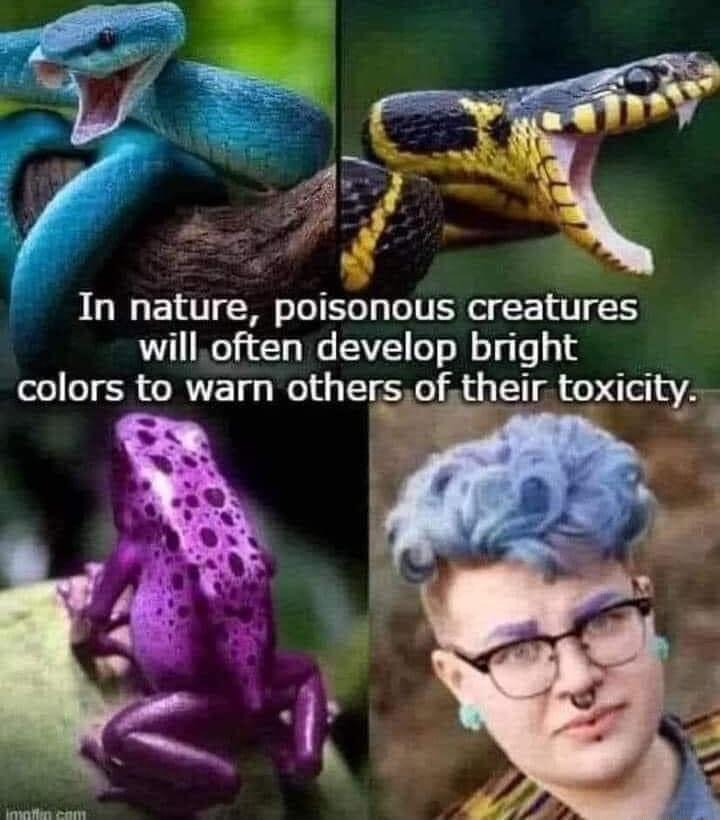 In nature poisonous creatures willoften develop bright colors to warn othersof their toxicity