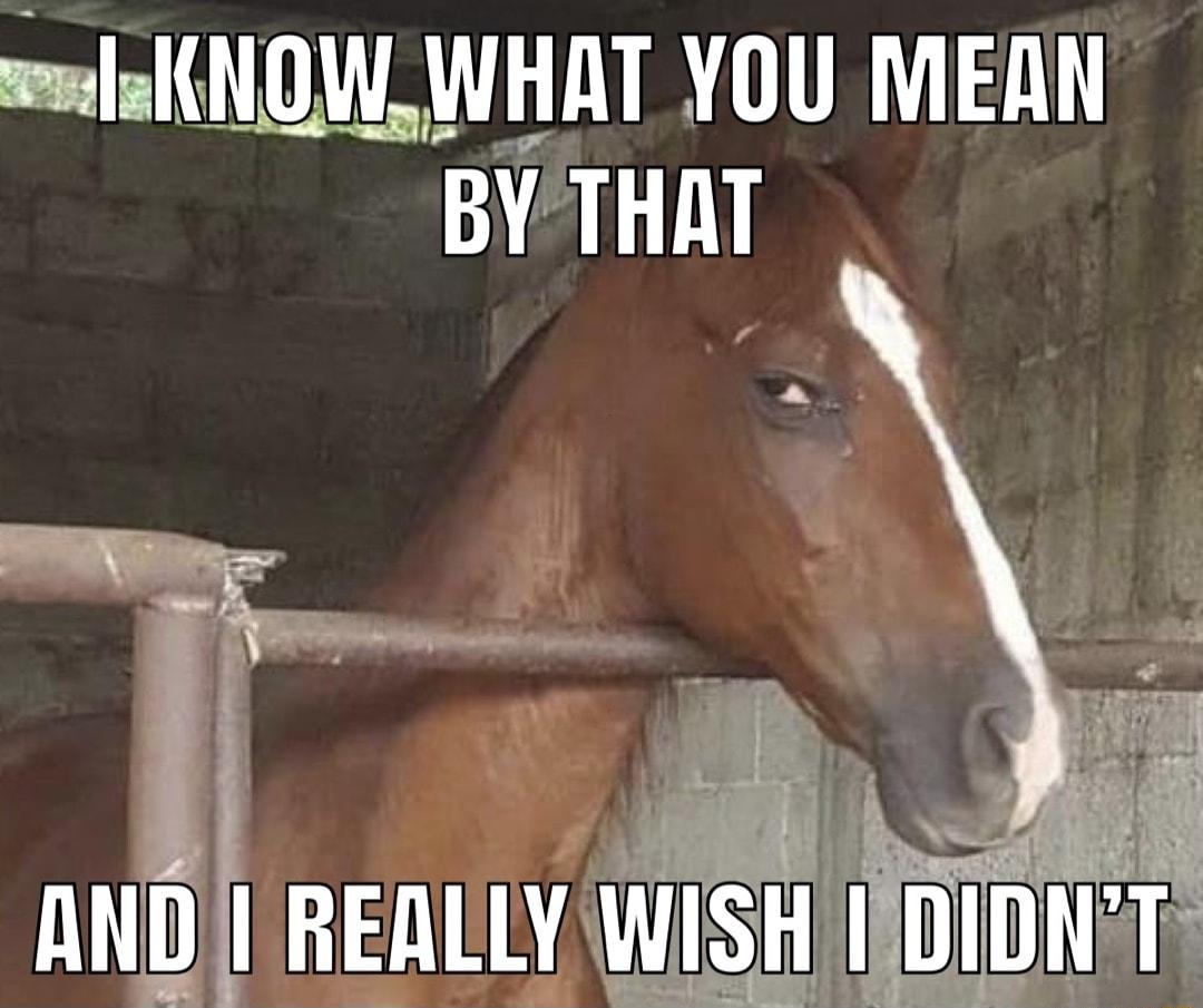 i l lxNW_NT YOU MEAN BYTHAT AN REALLY WISHII