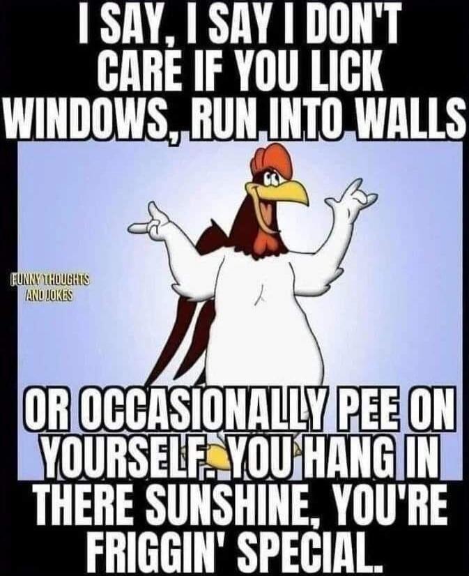 I SAY, I SAY I DON'T CARE IF YOU LICK WINDOWS, RUN INTO WALLS OR OCCASIONALLY PEE ON YOURSELF. YOU HANG IN THERE SUNSHINE, YOU'RE FRIGGIN' SPECIAL.