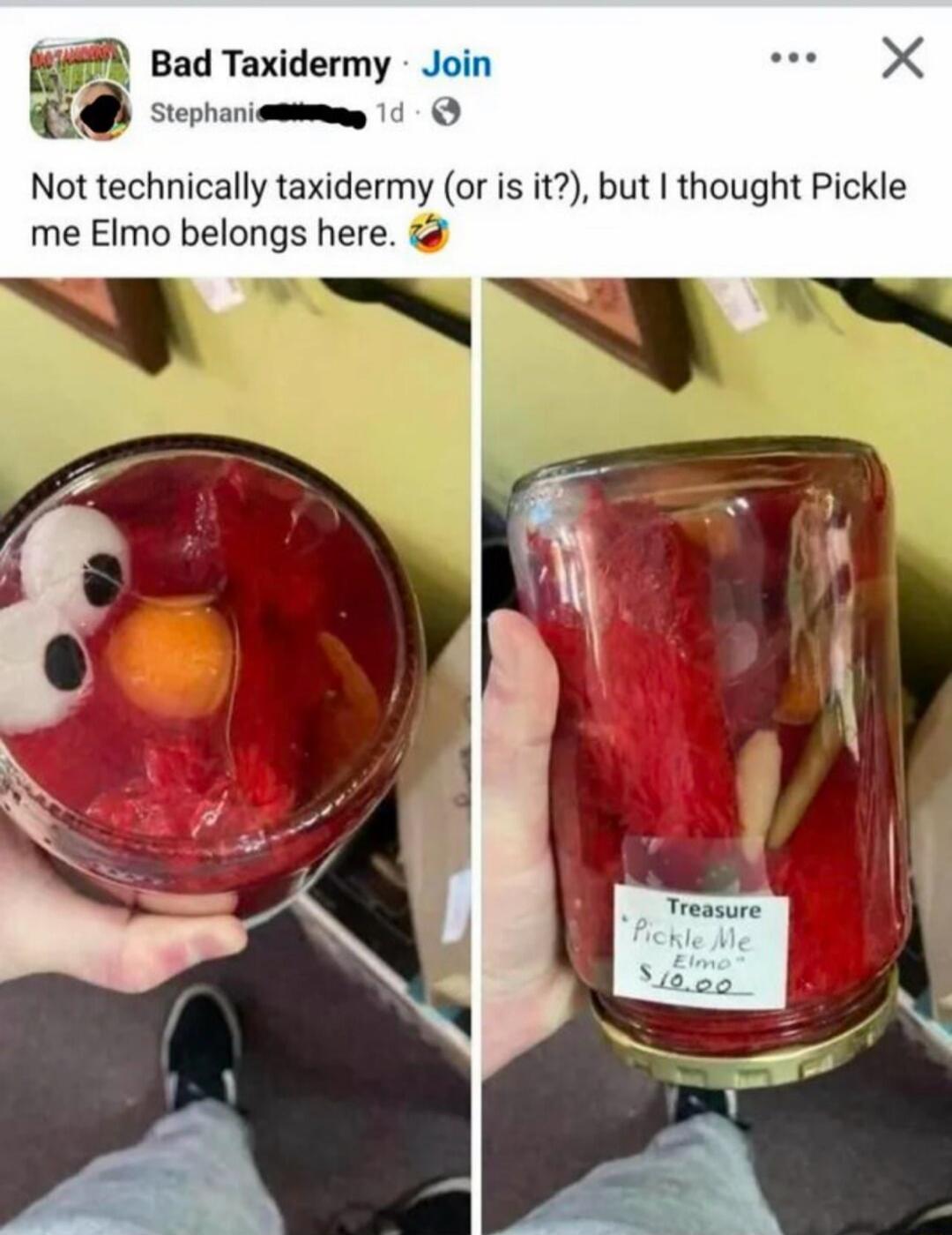 Not technically taxidermy (or is it?), but I thought Pickle me Elmo belongs here.  

[Labels on the second image read: 