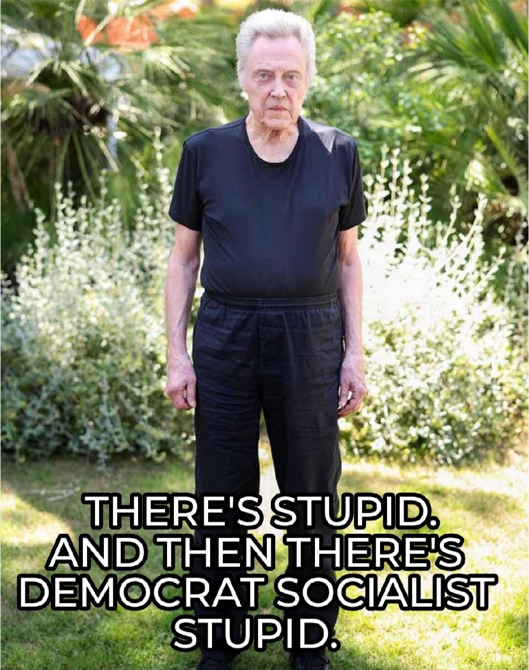THERE'S STUPID. AND THEN THERE'S DEMOCRAT SOCIALIST STUPID.