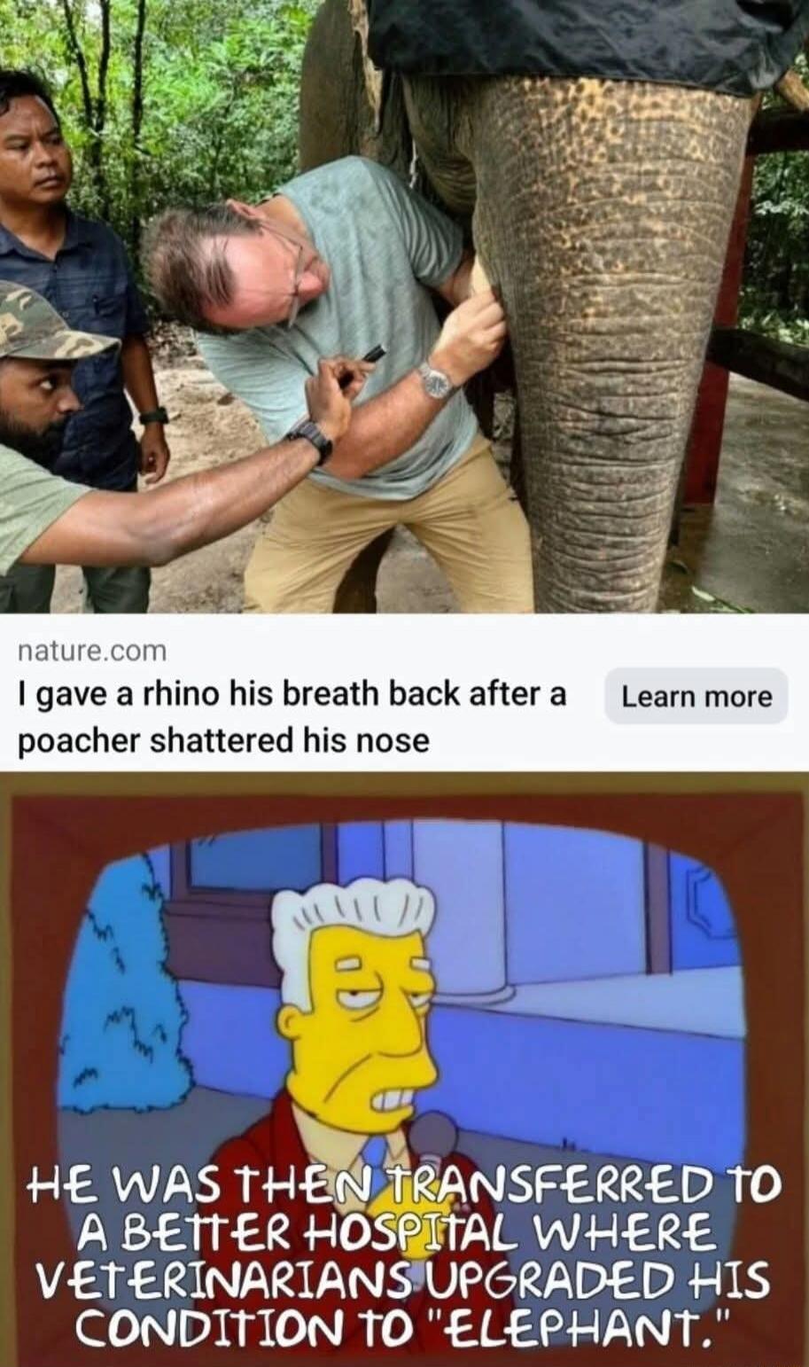 I gave a rhino his breath back after a poacher shattered his nose
HE WAS THEN TRANSFERRED TO A BETTER HOSPITAL WHERE VETERINARIANS UPGRADED HIS CONDITION TO 