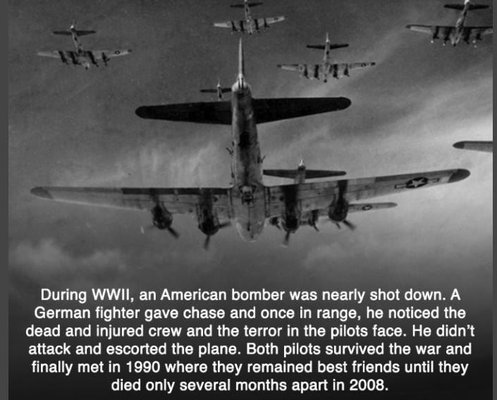 During WWII an American bomber was nearly shot down A CEIUEUR T HICTEEVER EELE GO RN EU R CI O L R G CEGEULRLITCL R CE U R CR G TR G Rl ERE TR R 1 EUET UL RER O C RGN EL R R ERET L R CRVE LG finally met in 1990 where they remained best friends until they died only several months apart in 2008