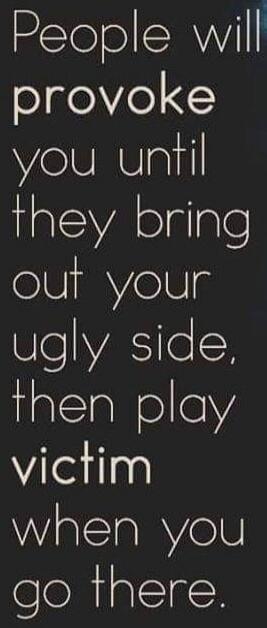 People will provoke you until they bring out your ugly side, then play victim when you go there.