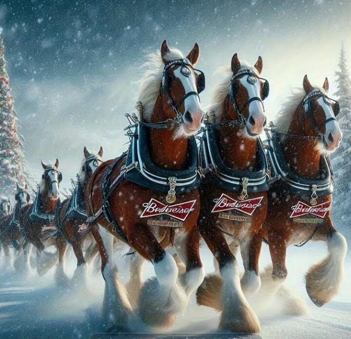 Budweiser
Budweiser
Budweiser