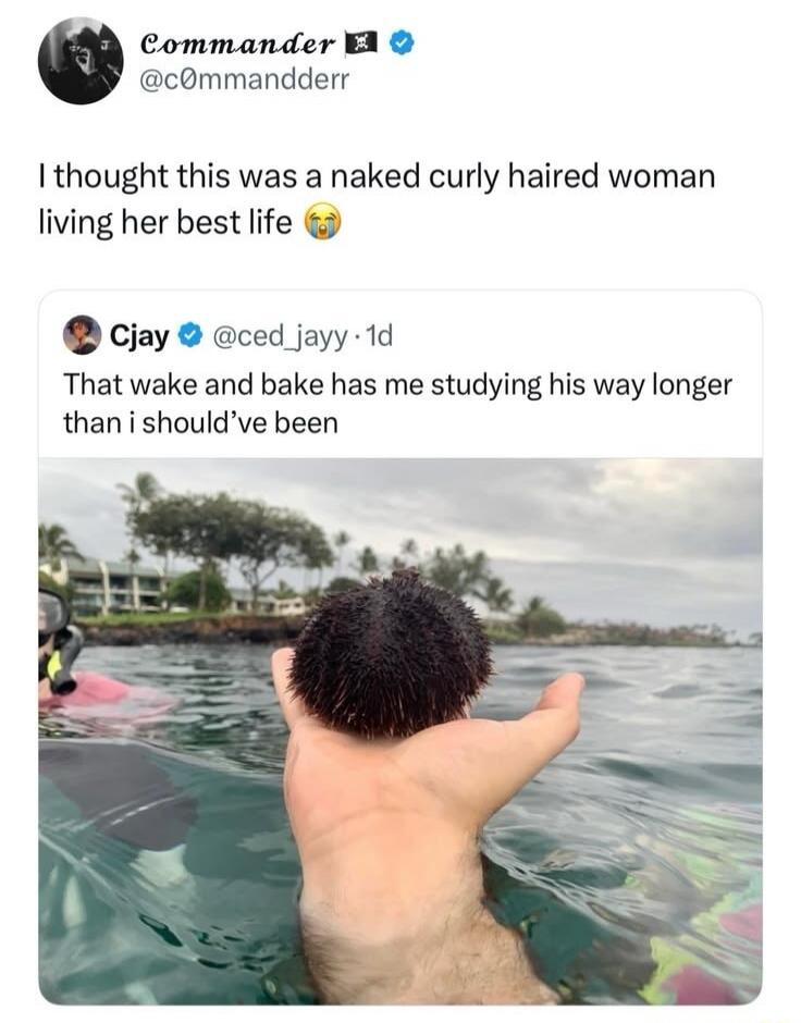 Commander @c0mmandderr I thought this was a naked curly haired woman living her best life 😭 Cjay @ced_jayy · 1d That wake and bake has me studying his way longer than i should've been