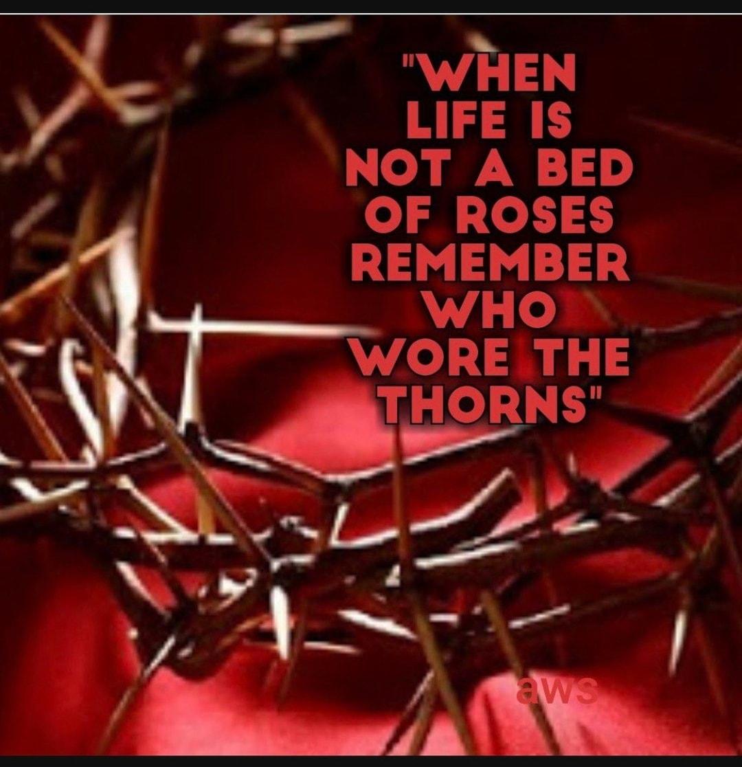 NOT A BED o N 1 1 REMEMBER e c LW T LIFE IS WORETHE ATHORNS _ p P