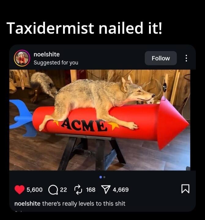 Taxidermist nailed it! noelshite Suggested for you Follow 5,600 22 168 4,669 noelshite there's really levels to this shit