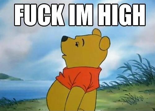 FUCK IM HIGH