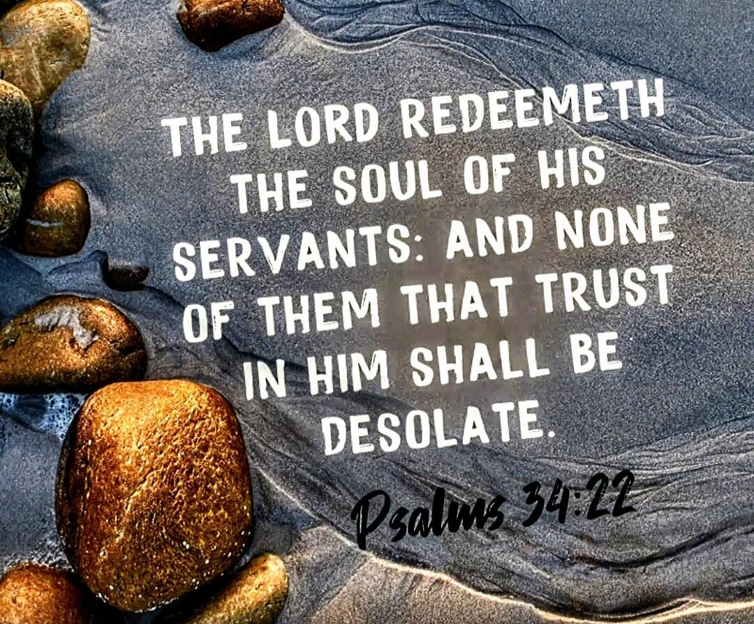THE LORD REDEEMETH THE SOUL OF HIS SERVANTS: AND NONE OF THEM THAT TRUST IN HIM SHALL BE DESOLATE.
Psalms 34:22