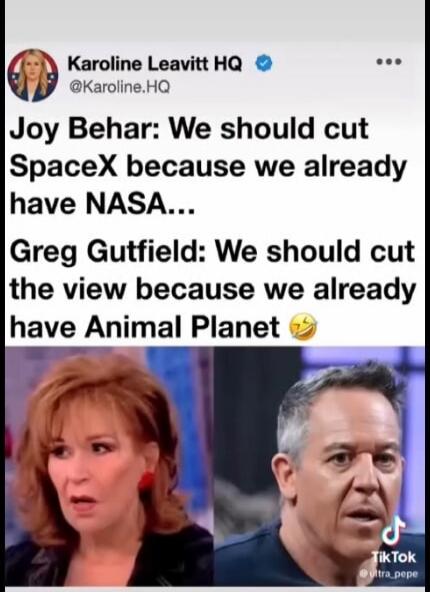 Joy Behar: We should cut SpaceX because we already have NASA... Greg Gutfeld: We should cut The View because we already have Animal Planet.