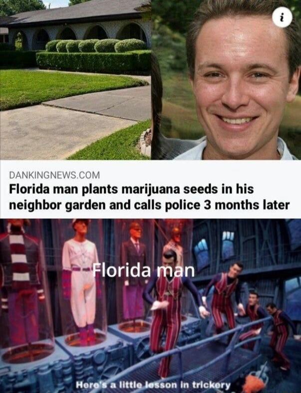 Florida man plants marijuana seeds in his neighbor garden and calls police 3 months later