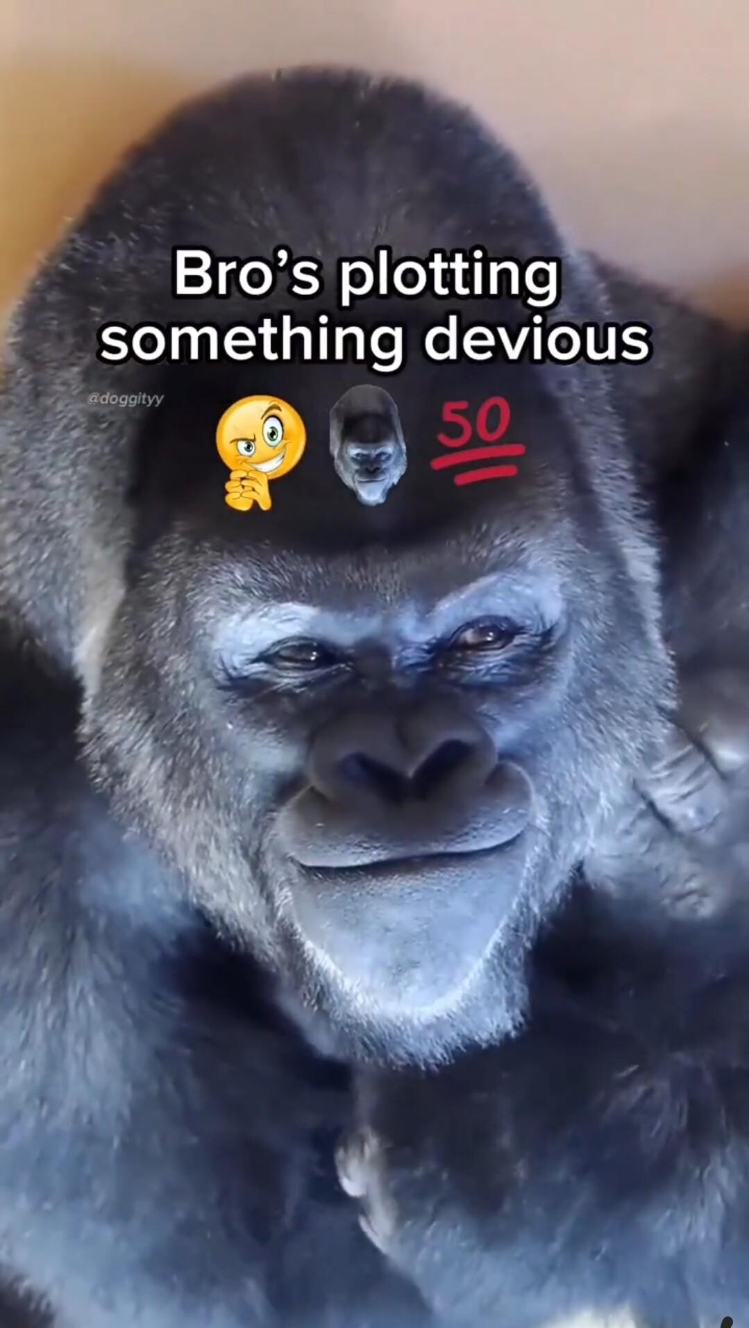 Bros plotting el 1a N g g o W V TOULS