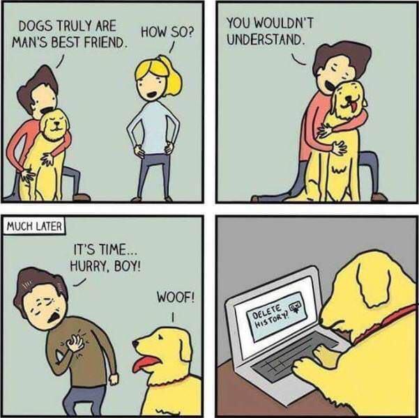 DOGS TRULY ARE YOU WOULDNT MANS BEST FRIEND UNDERSTAND ITS TIME HURRY BOY