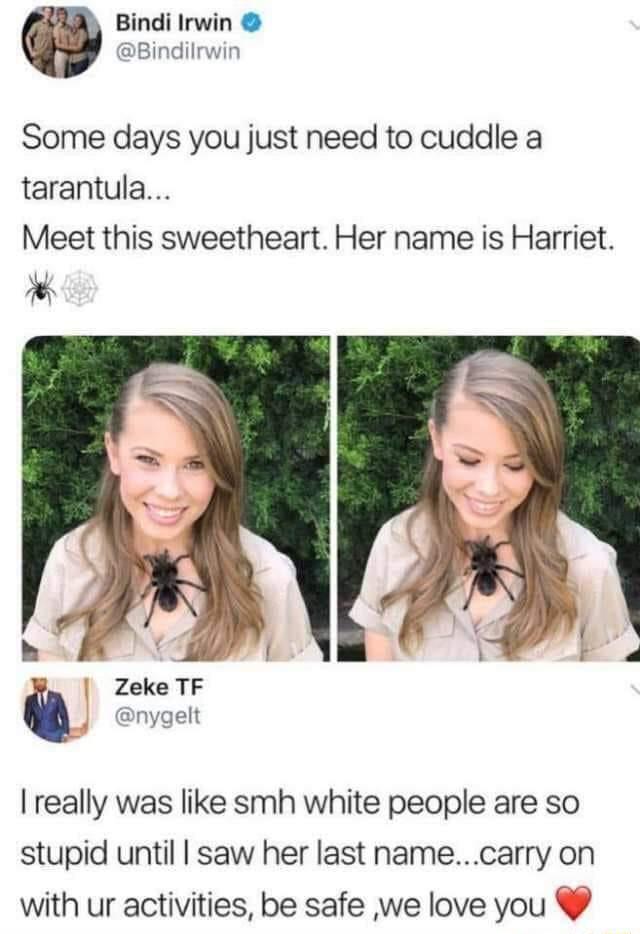 Bindi Irwin Bindilrwin Some days you just need to cuddle a tarantula Meet this sweetheart Her name is Harriet Zeke TF nygelt really was like smh white people are so stupid until saw her last namecarry on with ur activities be safe we love you