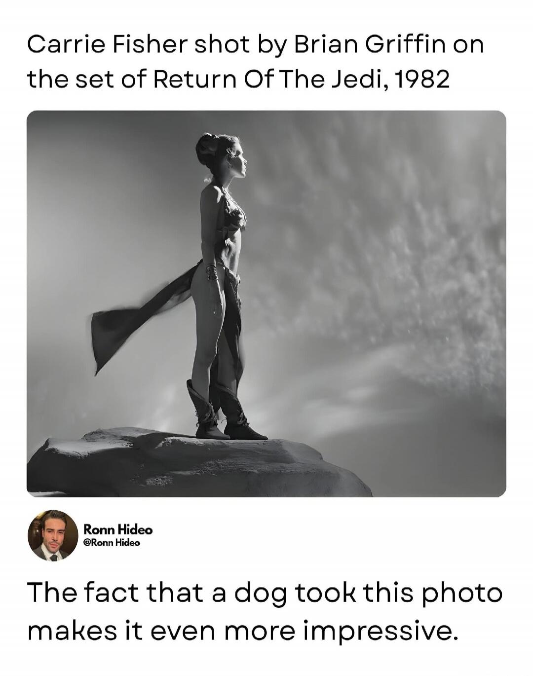 Carrie Fisher shot by Brian Griffin on the set of Return Of The Jedi, 1982. Ronn Hideo. The fact that a dog took this photo makes it even more impressive.