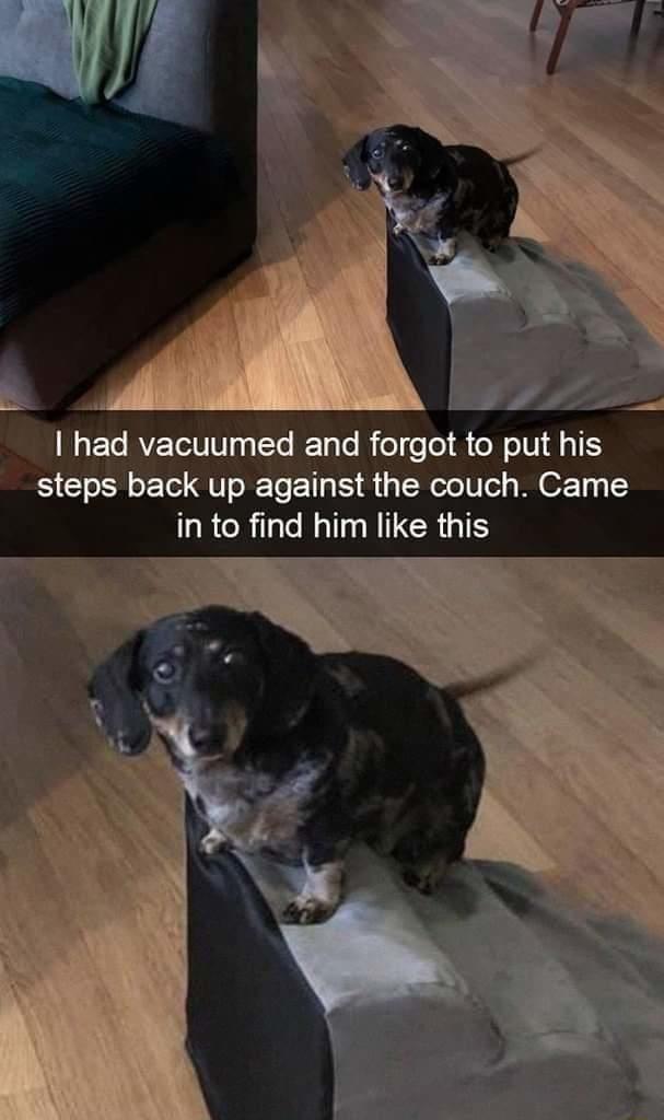 M RVETT 10y T T To Rfol sTel R NI T 431 steps back up against the couch Came R CRil Ml NI CRGTS