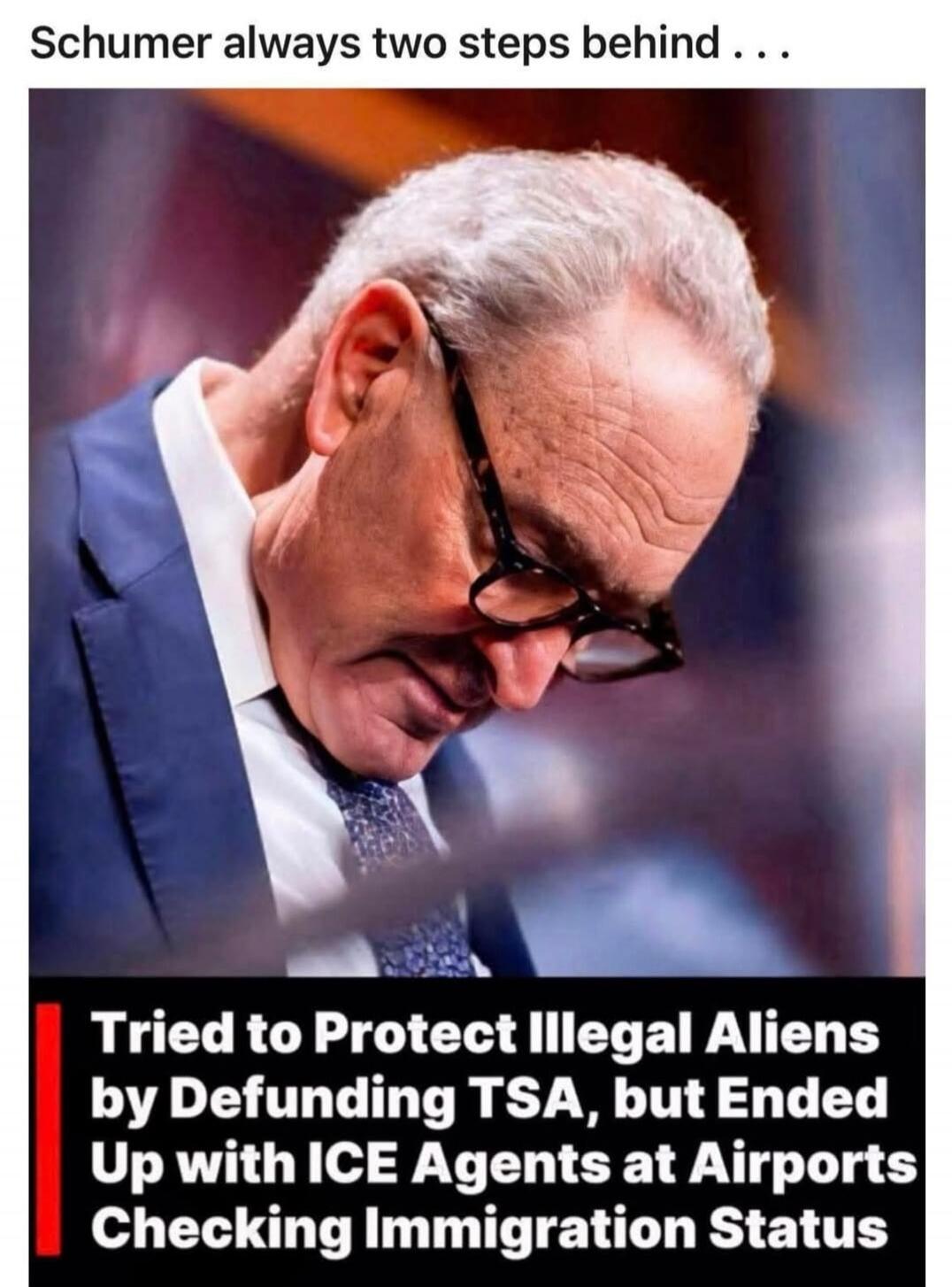 Schumer always two steps behind . . . Tried to Protect Illegal Aliens by Defunding TSA, but Ended Up with ICE Agents at Airports Checking Immigration Status